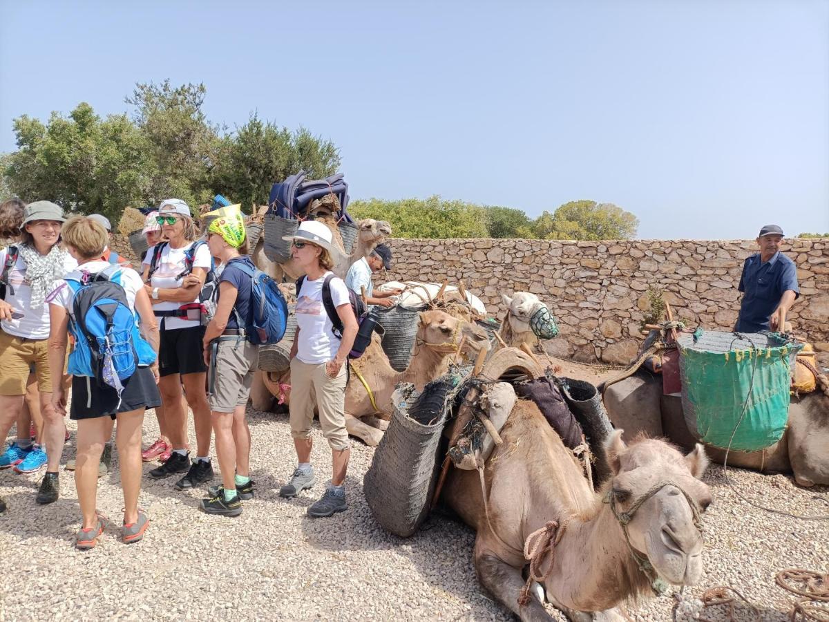 Affittacamere Dar Albatros Sidi Kaouki Esterno foto