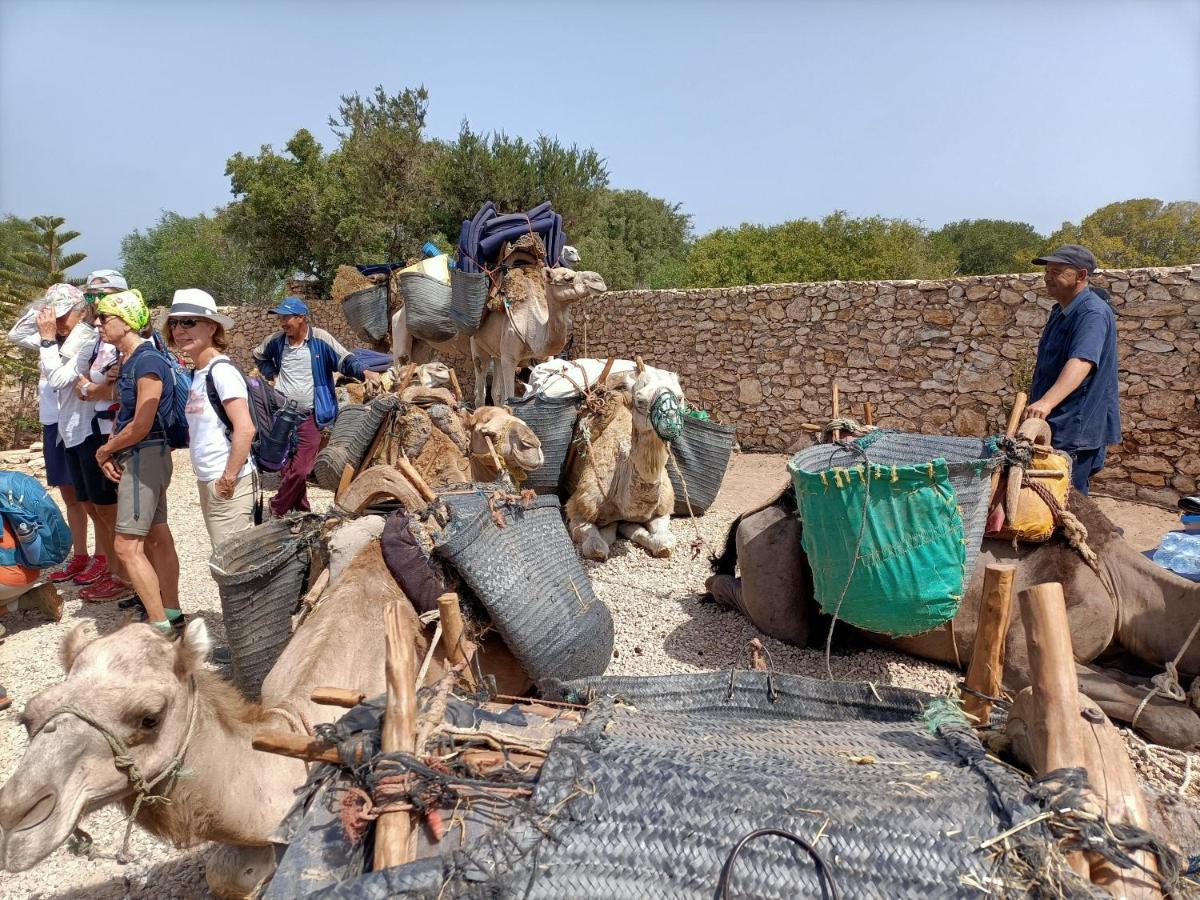 Affittacamere Dar Albatros Sidi Kaouki Esterno foto