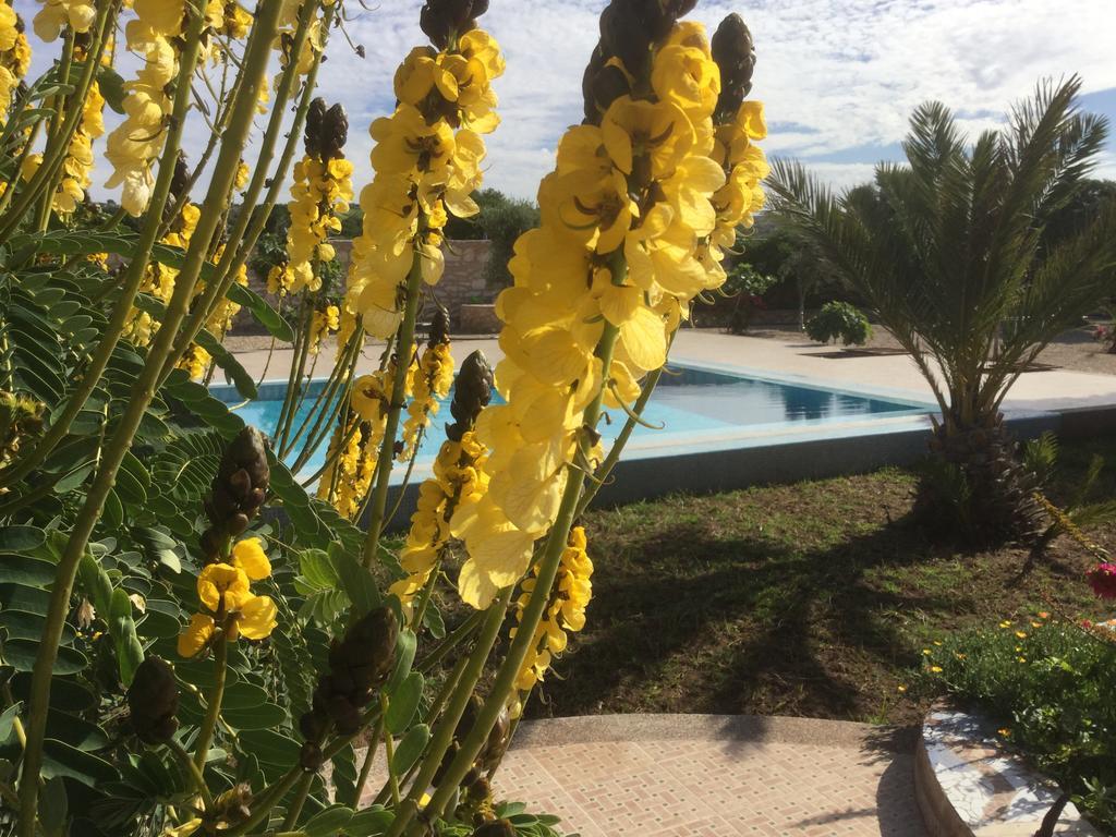 Affittacamere Dar Albatros Sidi Kaouki Esterno foto